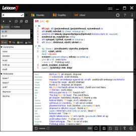 Lexicon 7 Anglický praktický slovník
