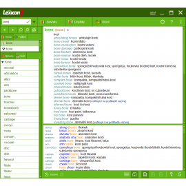  Lexicon 7 Anglický lékařský slovník