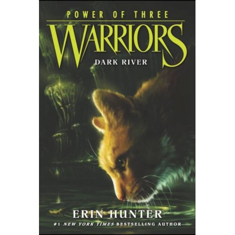 Warriors: Power of Three 2: Dark River