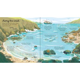 Look inside seas and oceans