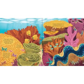 Look inside seas and oceans