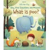 Usborne Lift-the-flap very first questions and answers: What is poo?