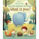 Usborne Lift-the-flap very first questions and answers: What is poo?