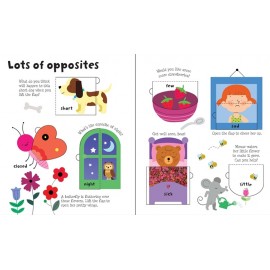Usborne Lift-the-flap Opposites