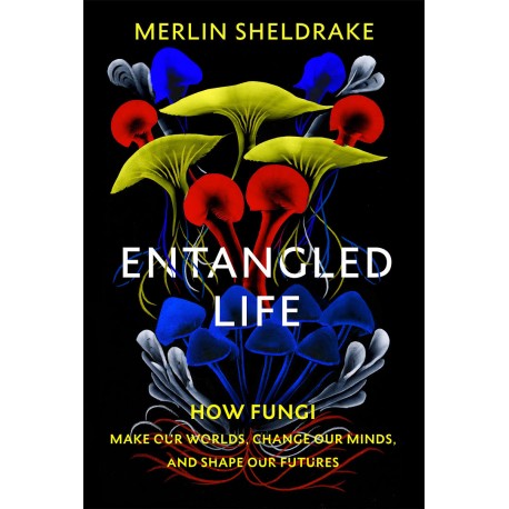 Entangled Life : How Fungi Make Our Worlds, Change Our Minds and Shape Our Futures