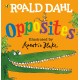 Roald Dahl's Opposites : (Lift-the-Flap)