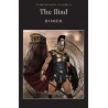 The Iliad