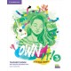 Own it! 3 Teacher's Book with Digital Resource Pack