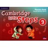 Cambridge Little Steps 3 Phonics Book