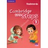 Cambridge Little Steps 3 Flashcards