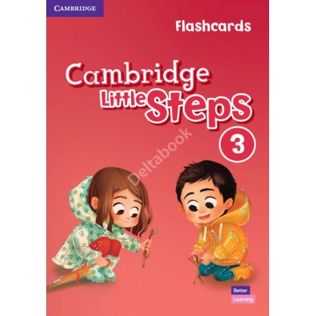 Cambridge Little Steps 3 Flashcards