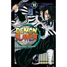 Demon Slayer: Kimetsu no Yaiba, Vol. 19 (manga)