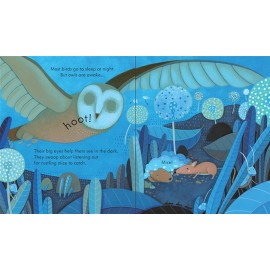 Usborne: Peep Inside Night-Time