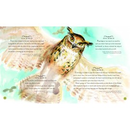 Harry Potter – A Magical Year: The Illustrations of Jim Kay