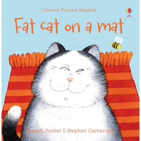 Fat cat on a mat