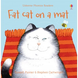 Fat cat on a mat