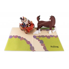 Ten Horse Farm: A Pop-up book interaktivní knížka o koních