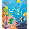 Usborne - Peep inside a Coral Reef