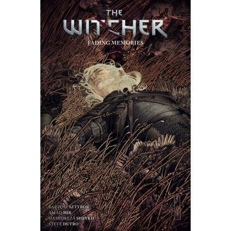 A Court of The Witcher Volume 5: Fading Memories