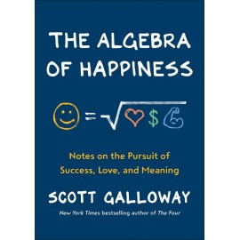 The Algebra of Happiness : Notes on the Pursuit of Success, Love, and Meaning