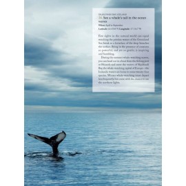 The Bucket List : 1000 Adventures Big & Small