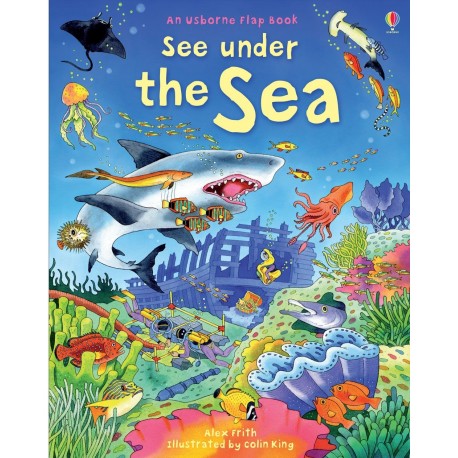 Usborne: Lift-The-Flap See Under the Sea