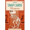 Museum Snap Card Game