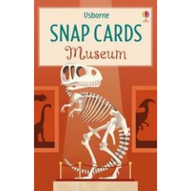 Museum Snap Card Game