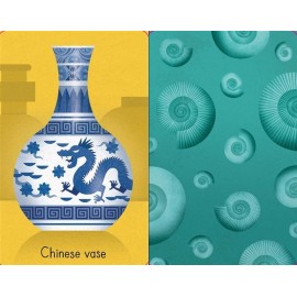 Museum Snap Card Game