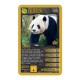 Top Trumps Awesome Animals