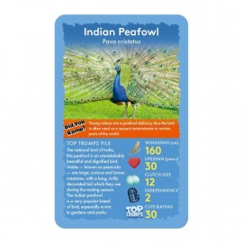 Top Trumps Birds