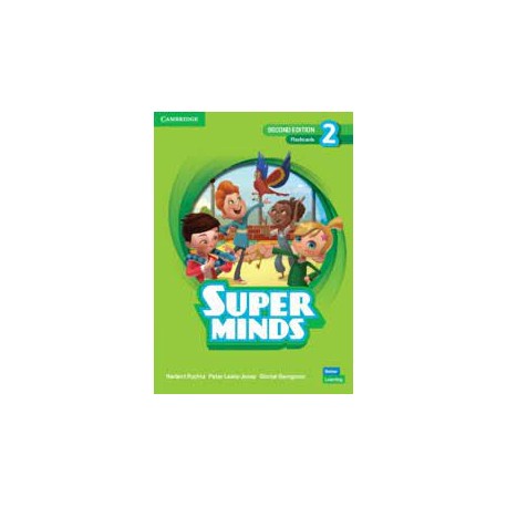 Super Minds Second Edition Level 2 Flashcards