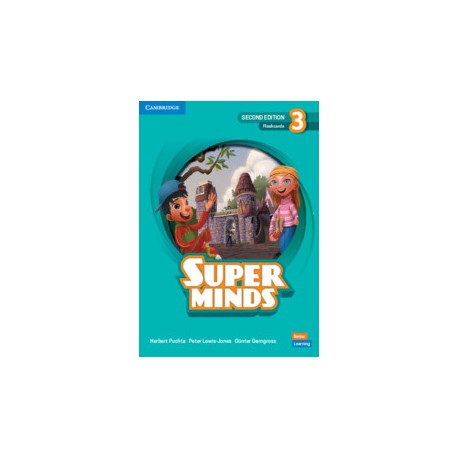Super Minds Second Edition Level 3 Flashcards 