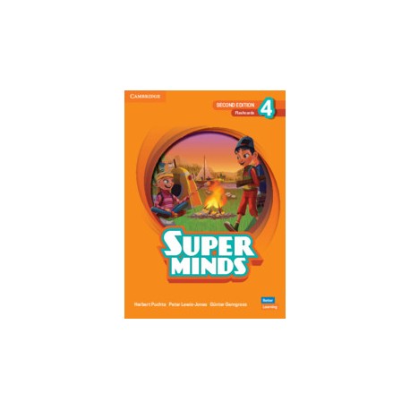 Super Minds Second Edition Level 4 Flashcards
