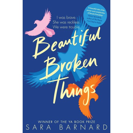 Beautiful Broken Things