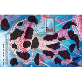 Usborne: Build Your Own Sea Creatures