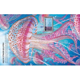 Usborne: Build Your Own Sea Creatures