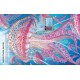 Usborne: Build Your Own Sea Creatures