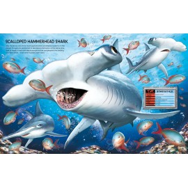 Usborne: Build Your Own Sea Creatures