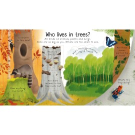 Usborne: Lift-the-Flap First Questions and Answers : Why do we need trees?