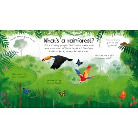 Usborne: Lift-the-Flap First Questions and Answers : Why do we need trees?