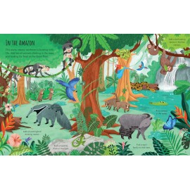 Usborne: First Sticker Book Planet Earth