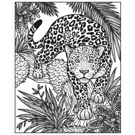 Usborne: Wild Animals Magic Painting Book