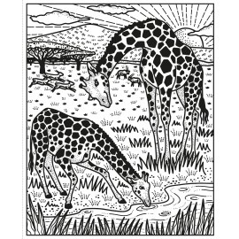 Usborne: Wild Animals Magic Painting Book