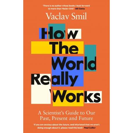How the World Really Works : A Scientist's Guide to Our Past, Present and Future