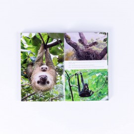 Living Planet : The Web of Life on Earth