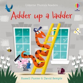 Usborne Phonics Readers: Adder up a ladder