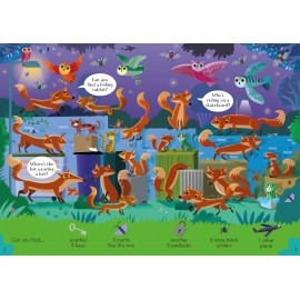 Usborne Look and Find Puzzles Night time
