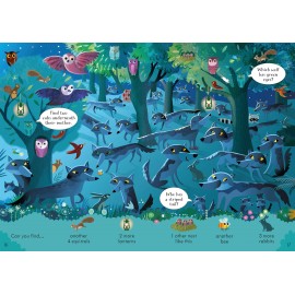 Usborne Look and Find Puzzles Night time