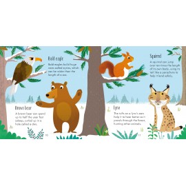 Usborne: Animal Matching Games